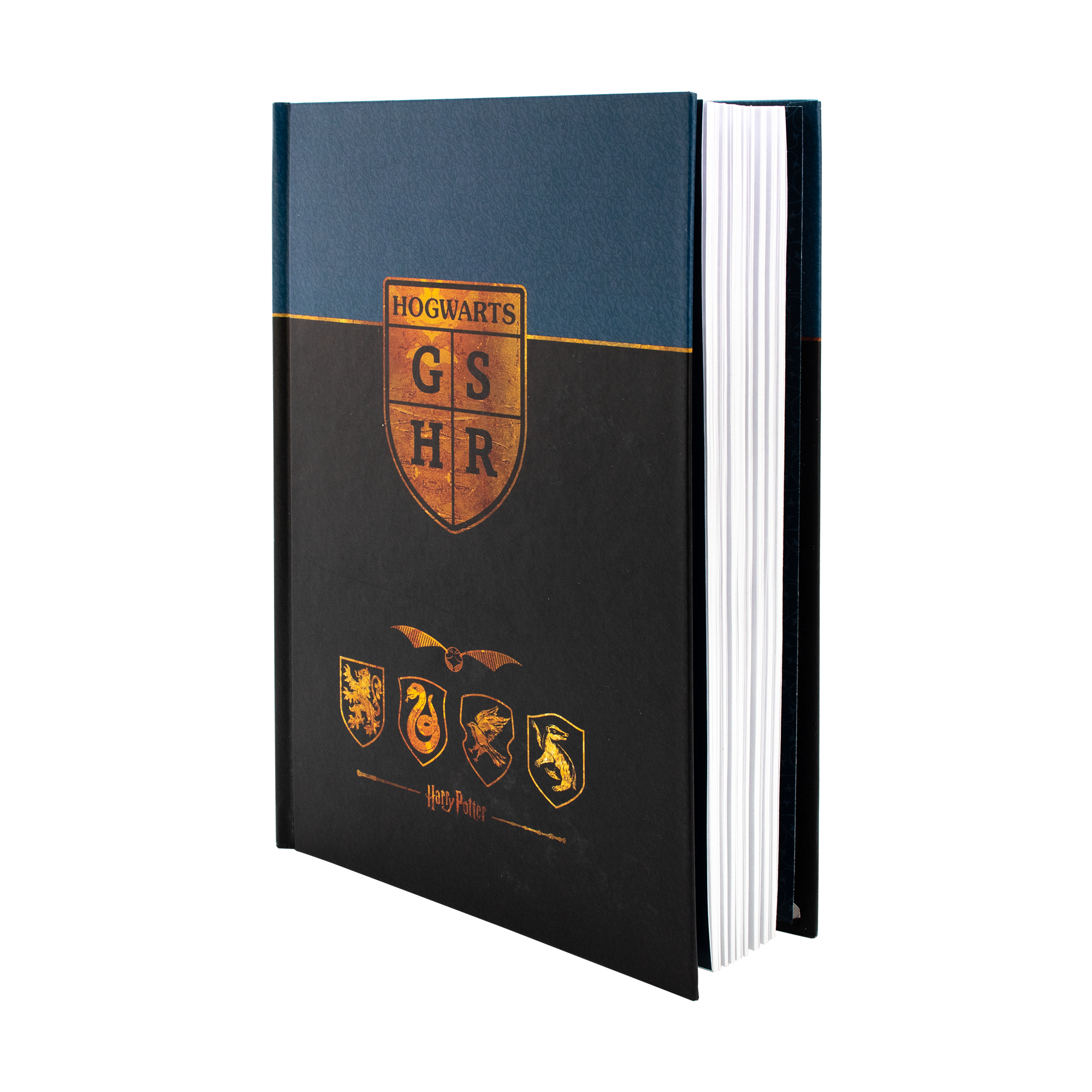 Harry Potter - Notizbuch Premium A5 120 Seiten